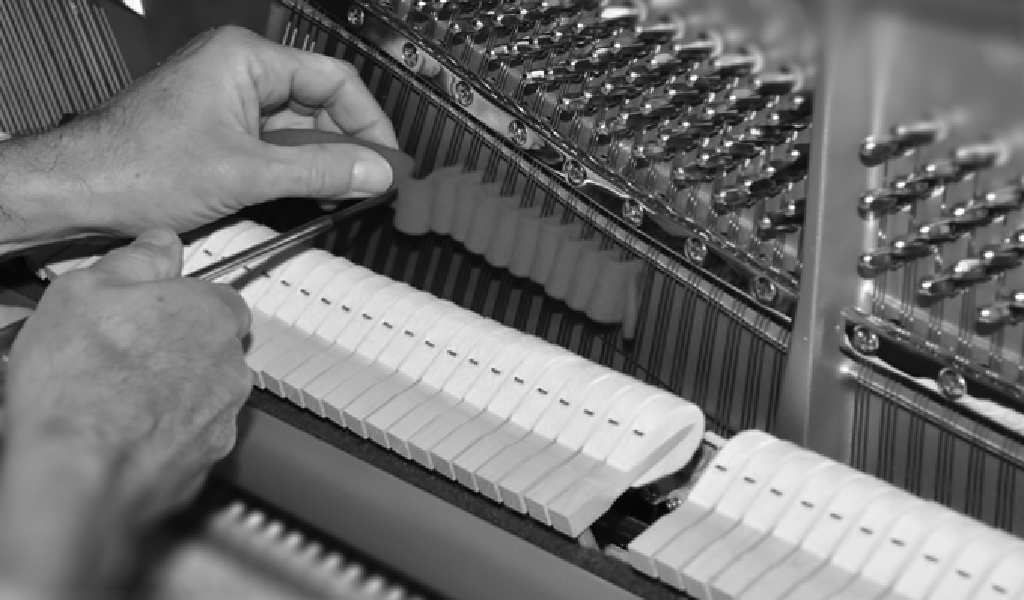 Piano Tuner in Bangkok - Pro Piano Tuner - Piano Tuning and Repairs